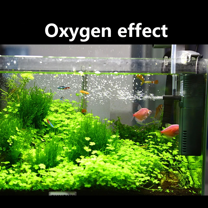 SUNSUN mini nano 111B 311B 611 - Planted Aquarium Products のレビューと価格