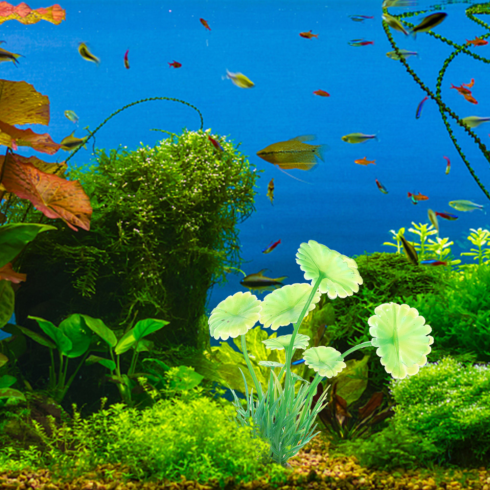 10Pcs Artificial Aquarium Gras - Aquarium Planted Set Up のレビューと価格