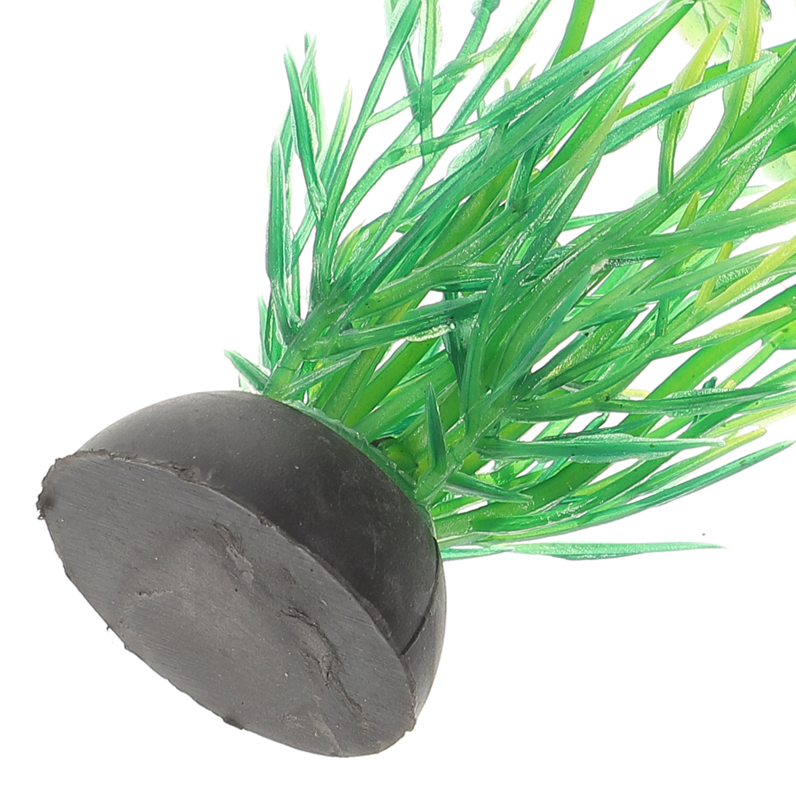 10Pcs Artificial Aquarium Gras - Aquarium Planted Set Up のレビューと価格