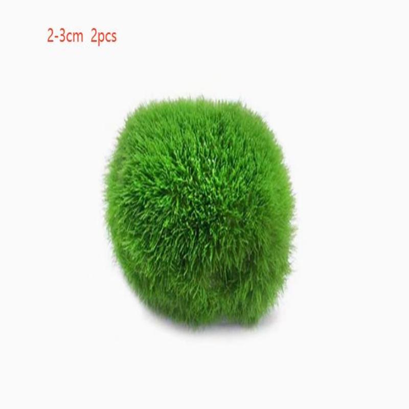 2Pcs Hydroponic Algae Balls Wa - Planted Aquarium Algae のレビューと価格